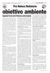 Clicca per aprire il pdf