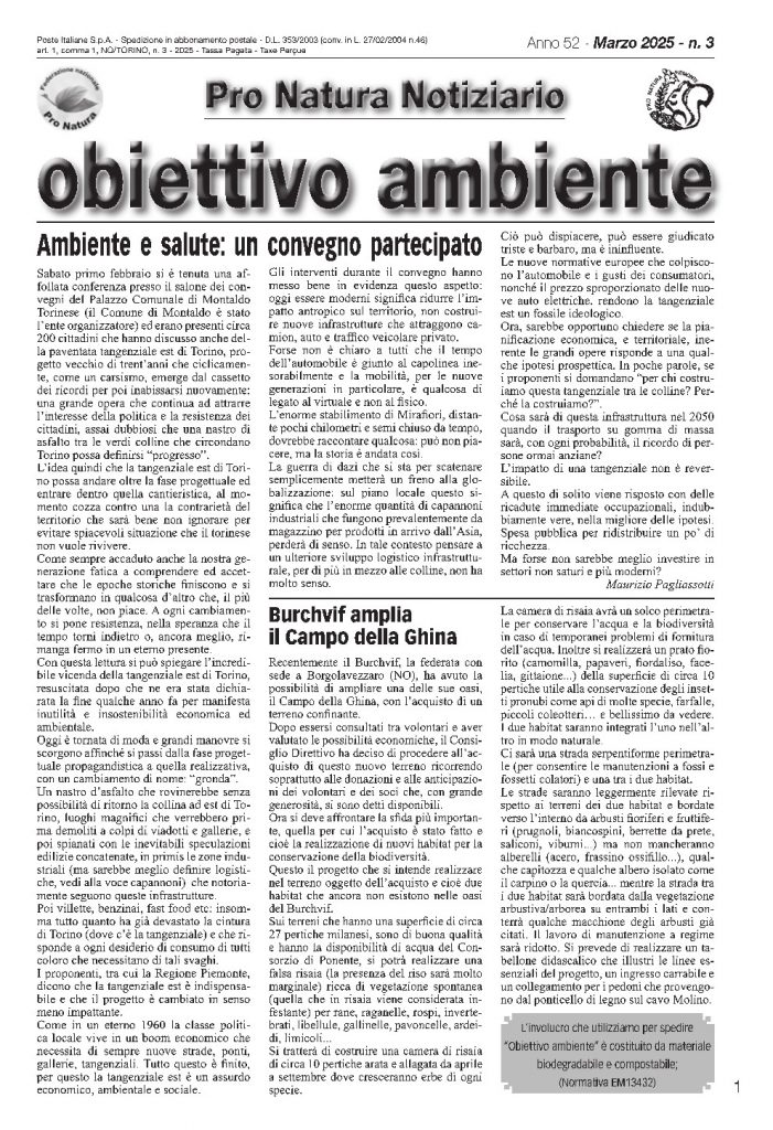 Clicca per aprire il pdf
