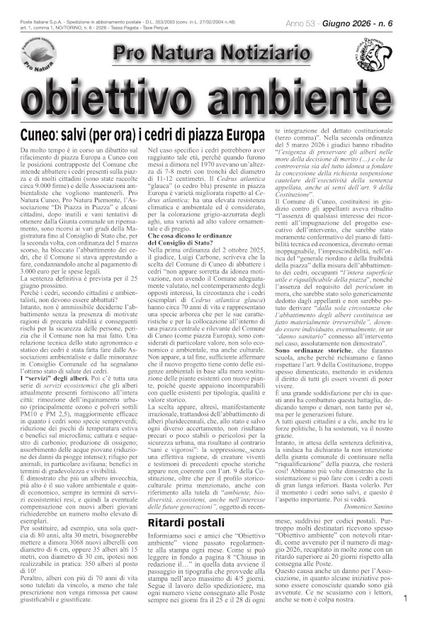 Clicca per aprire il pdf